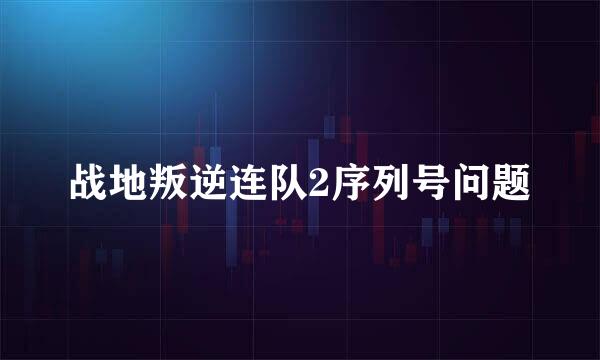 战地叛逆连队2序列号问题