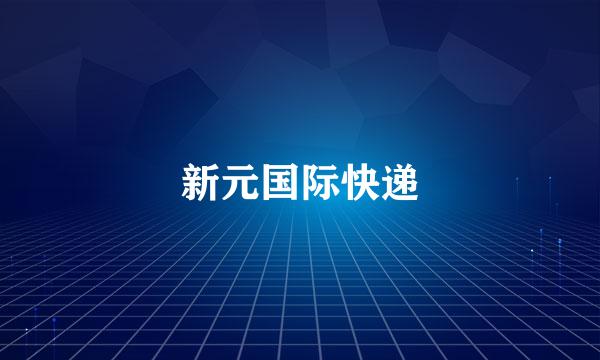 新元国际快递