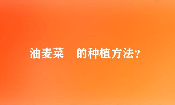 油麦菜 的种植方法？