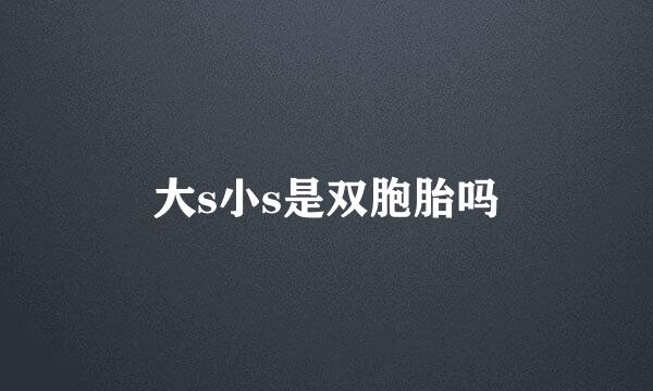 大s小s是双胞胎吗