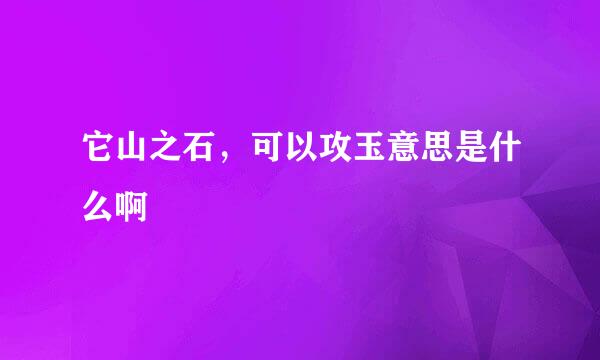 它山之石，可以攻玉意思是什么啊