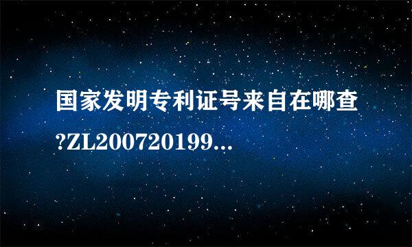 国家发明专利证号来自在哪查?ZL200720199013.1是一项什么专利?