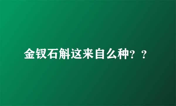金钗石斛这来自么种？？