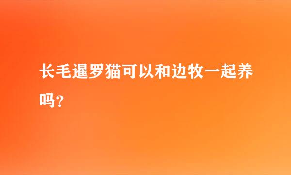 长毛暹罗猫可以和边牧一起养吗？