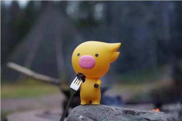 携程好还是飞猪好？？