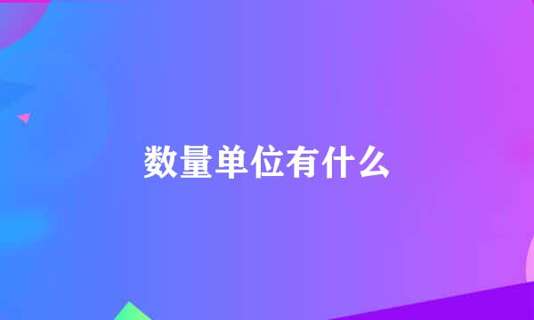 数量单位有什么