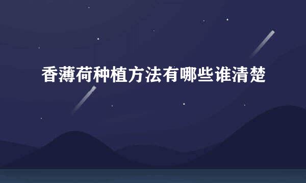 香薄荷种植方法有哪些谁清楚