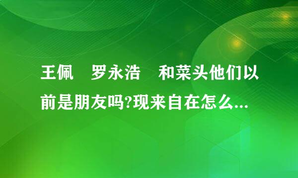 王佩 罗永浩 和菜头他们以前是朋友吗?现来自在怎么了?因为什么事要绝交呢??
