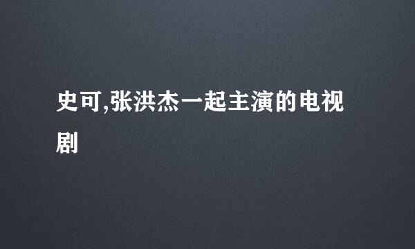 史可,张洪杰一起主演的电视剧