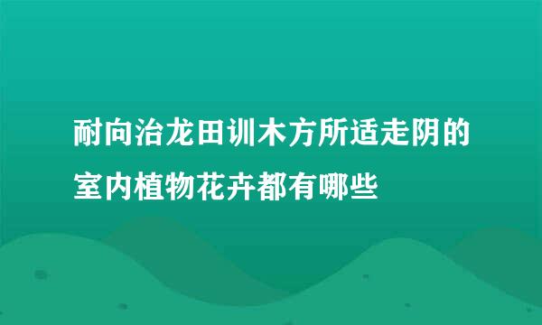 耐向治龙田训木方所适走阴的室内植物花卉都有哪些