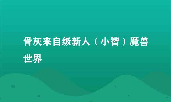 骨灰来自级新人（小智）魔兽世界
