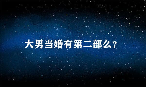 大男当婚有第二部么？