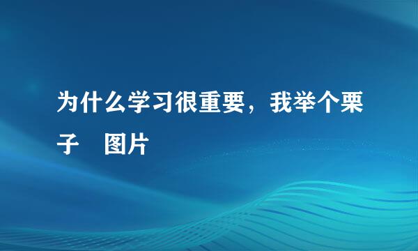 为什么学习很重要，我举个栗子 图片