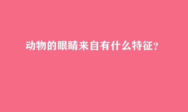 动物的眼睛来自有什么特征？