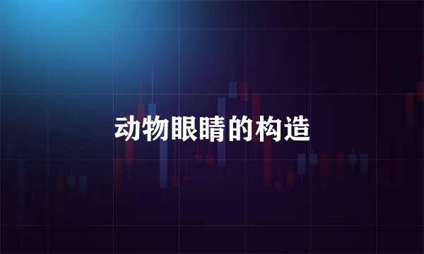 动物眼睛的构造