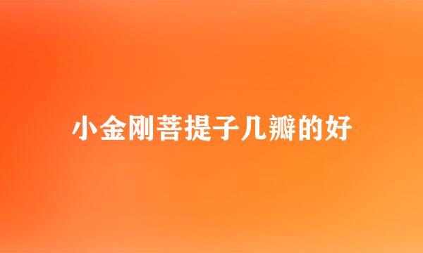 小金刚菩提子几瓣的好