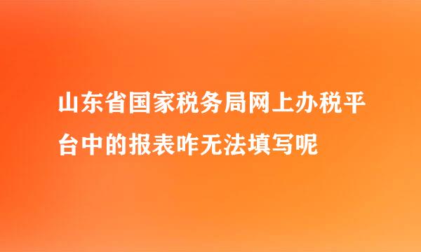 山东省国家税务局网上办税平台中的报表咋无法填写呢