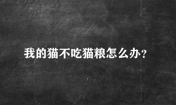 我的猫不吃猫粮怎么办？