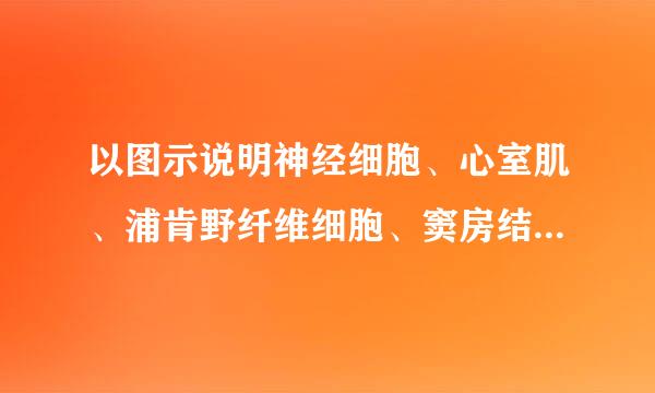以图示说明神经细胞、心室肌、浦肯野纤维细胞、窦房结细胞、消化道平滑肌细胞的RP和AP的生成机制
