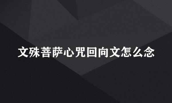 文殊菩萨心咒回向文怎么念