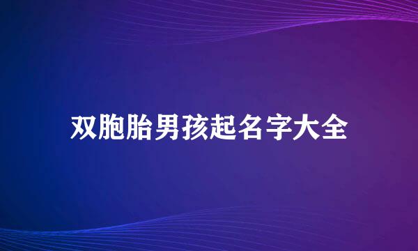 双胞胎男孩起名字大全