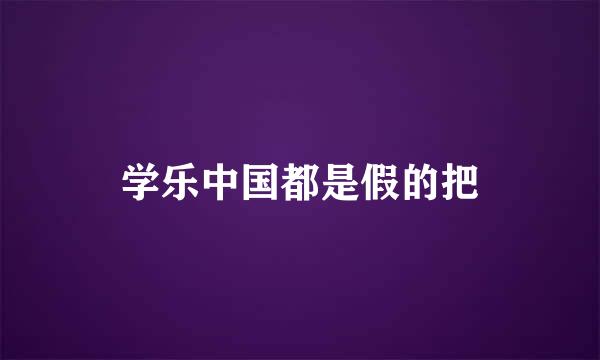 学乐中国都是假的把