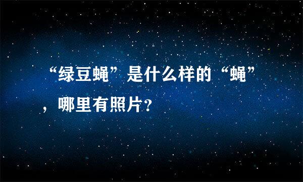 “绿豆蝇”是什么样的“蝇”，哪里有照片？