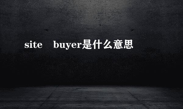 site buyer是什么意思