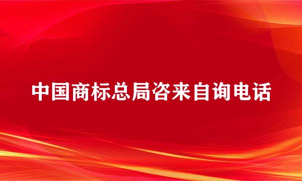 中国商标总局咨来自询电话
