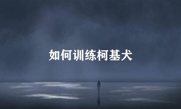如何训练柯基犬