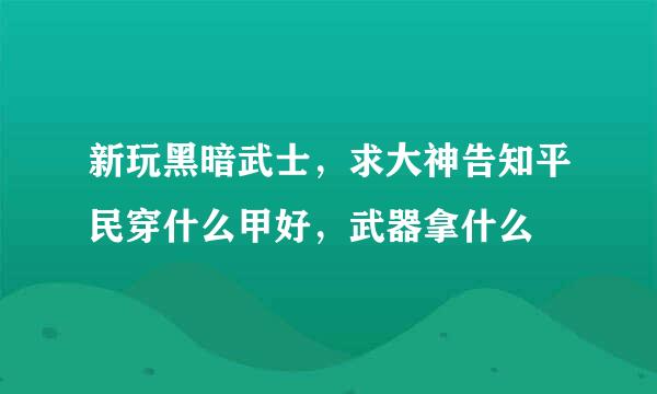 新玩黑暗武士，求大神告知平民穿什么甲好，武器拿什么
