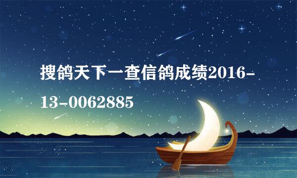 搜鸽天下一查信鸽成绩2016-13-0062885
