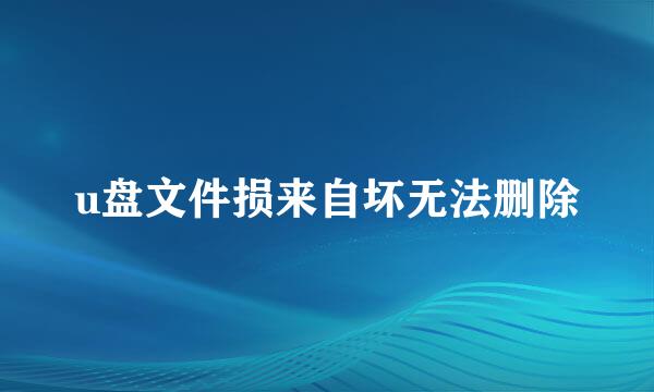 u盘文件损来自坏无法删除