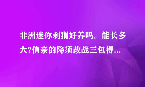非洲迷你刺猬好养吗。能长多大?值亲的降须改战三包得养吗。回答清晰易懂。别复制粘贴