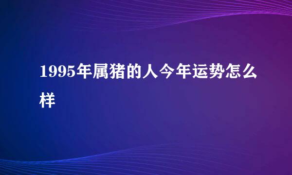 1995年属猪的人今年运势怎么样