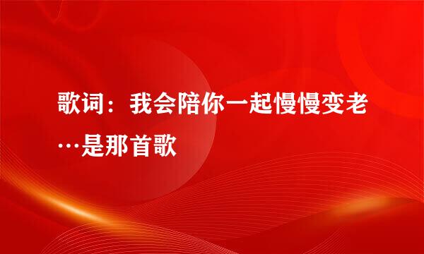 歌词：我会陪你一起慢慢变老…是那首歌