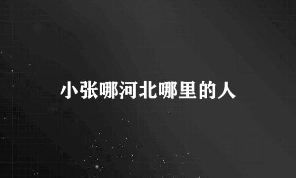 小张哪河北哪里的人