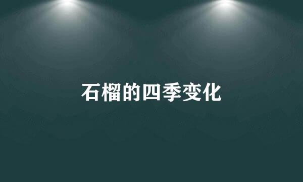 石榴的四季变化