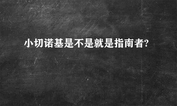 小切诺基是不是就是指南者?