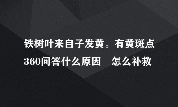 铁树叶来自子发黄。有黄斑点360问答什么原因 怎么补救