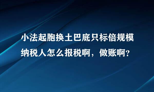 小法起胞换土巴底只标倍规模纳税人怎么报税啊，做账啊？