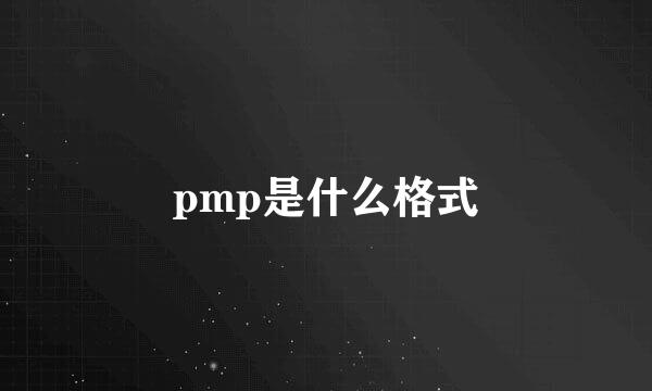 pmp是什么格式
