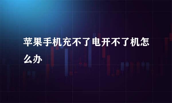 苹果手机充不了电开不了机怎么办