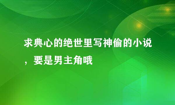 求典心的绝世里写神偷的小说，要是男主角哦