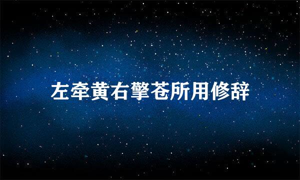 左牵黄右擎苍所用修辞