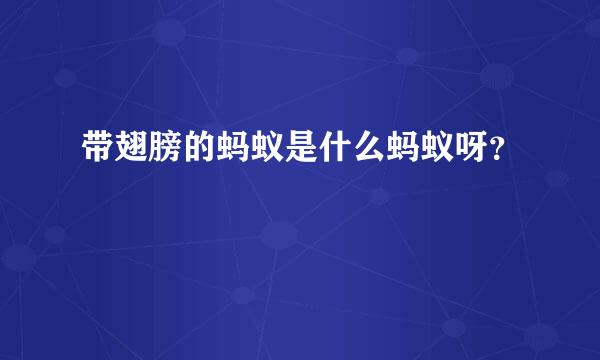 带翅膀的蚂蚁是什么蚂蚁呀？