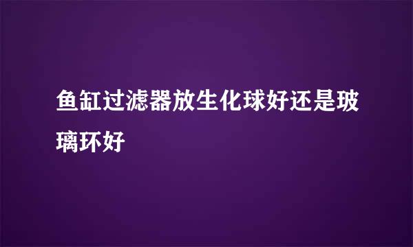 鱼缸过滤器放生化球好还是玻璃环好