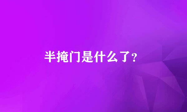 半掩门是什么了？