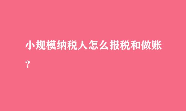 小规模纳税人怎么报税和做账？