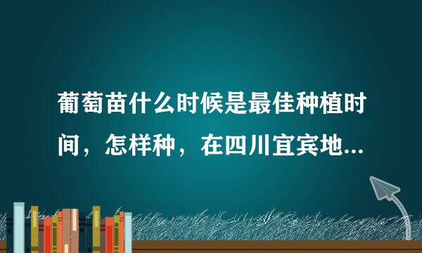 葡萄苗什么时候是最佳种植时间，怎样种，在四川宜宾地区容易活吗